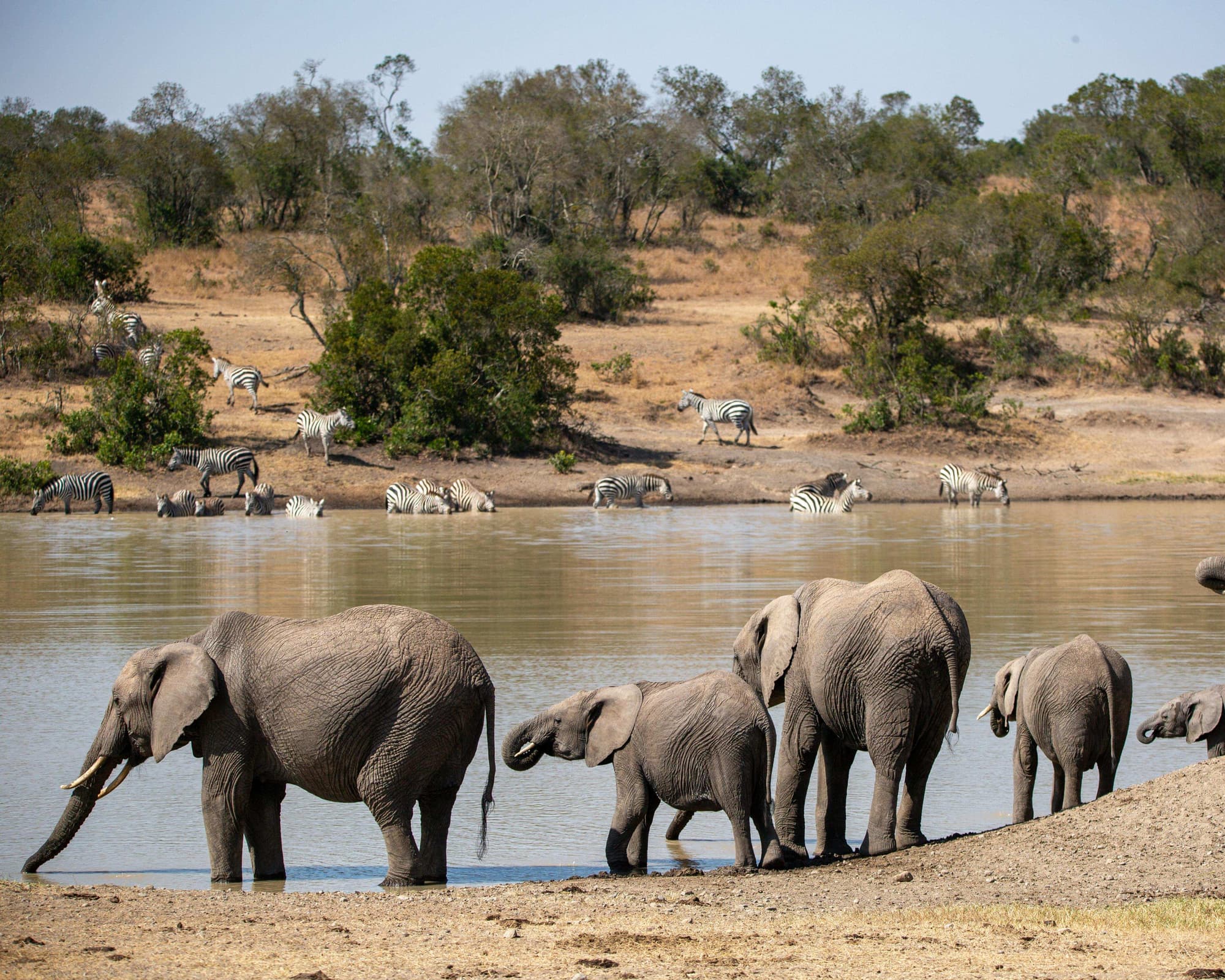 Active South Africa: Cape Town, Kruger & Tugela Falls