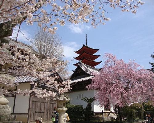 Itsukushima (isla), Japón