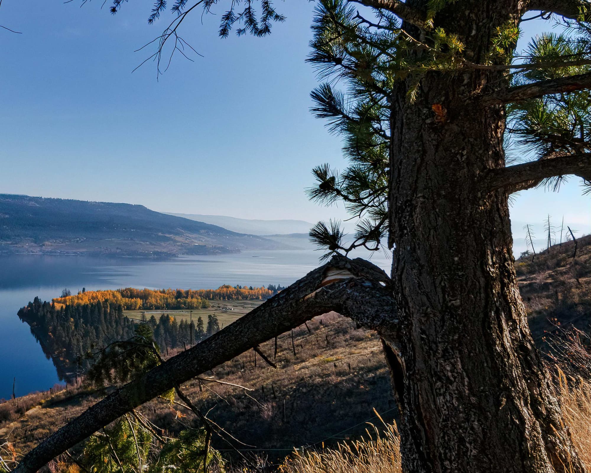 Silver Star-berget, Kanada