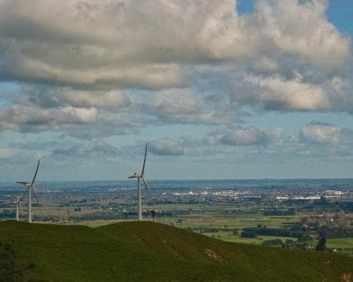 Palmerston north, New Zealand