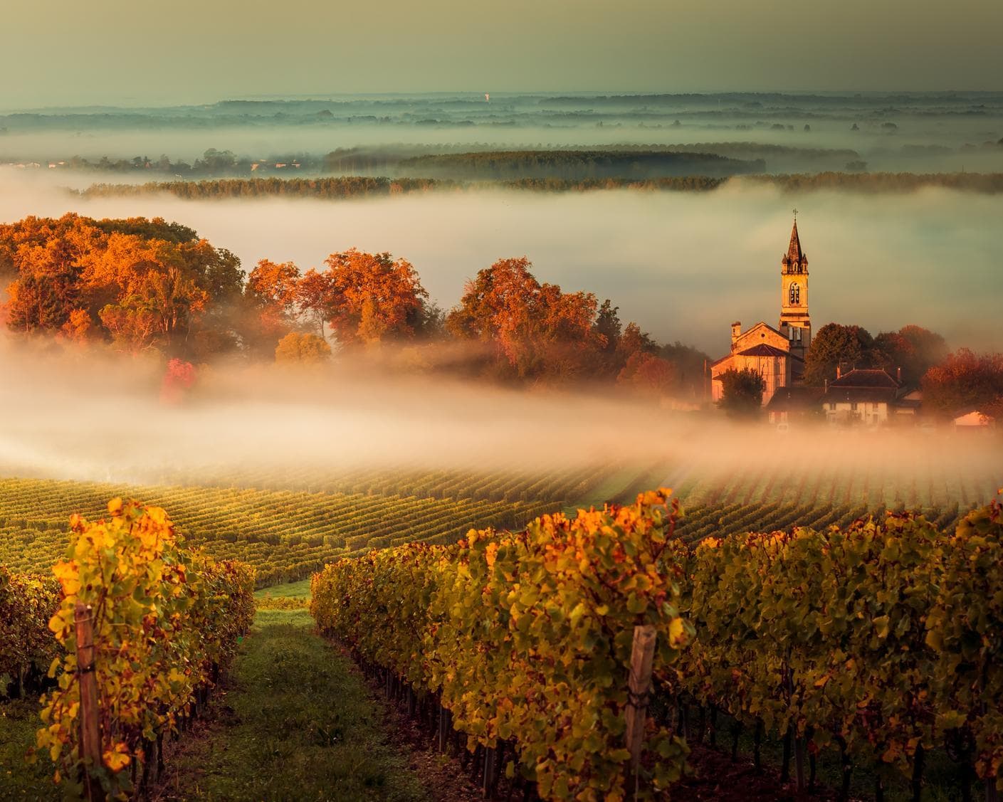 勒皮昂梅多克, 法国