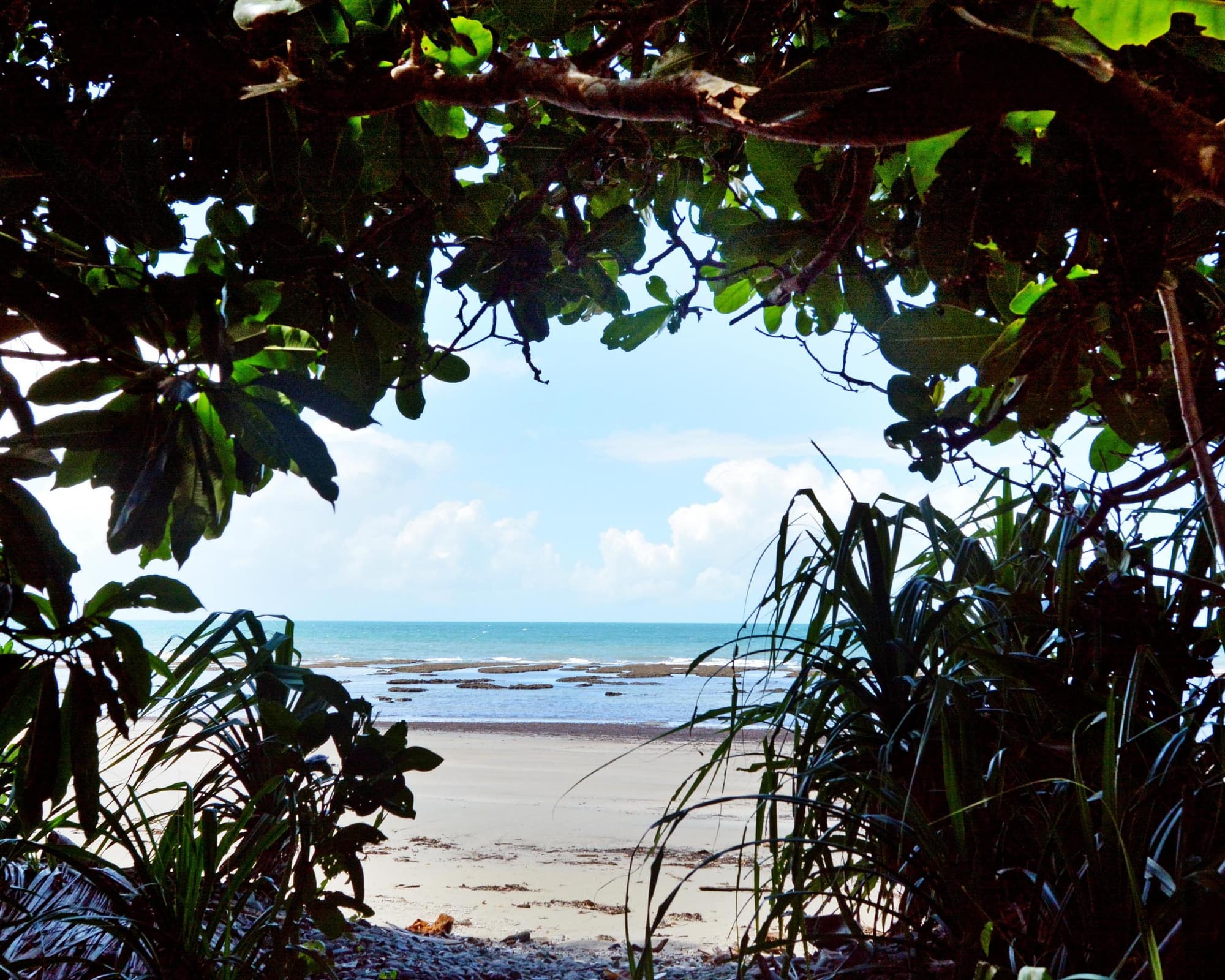 Kap Tribulation, Australien