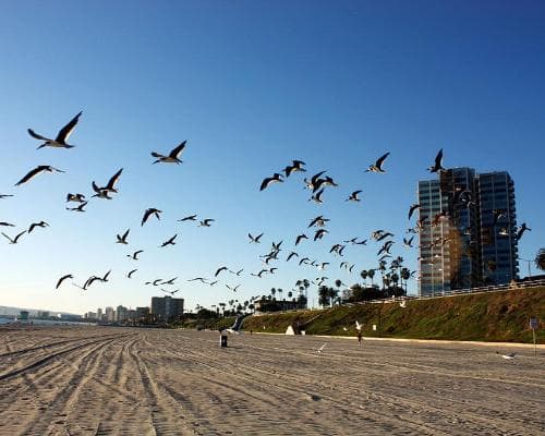 Long Beach CA, United States of America