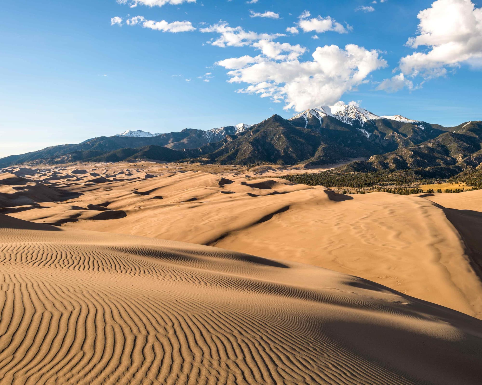 Alamosa CO, Estados Unidos de América