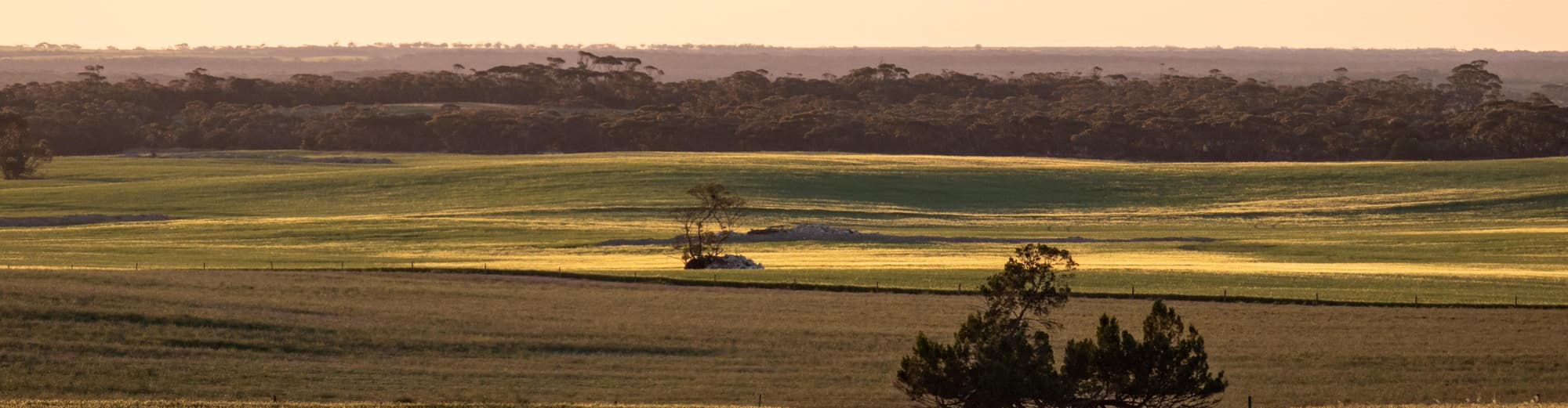 Gawler ranges National park, Australia
