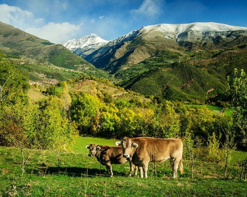 Валь Фоска, Испания