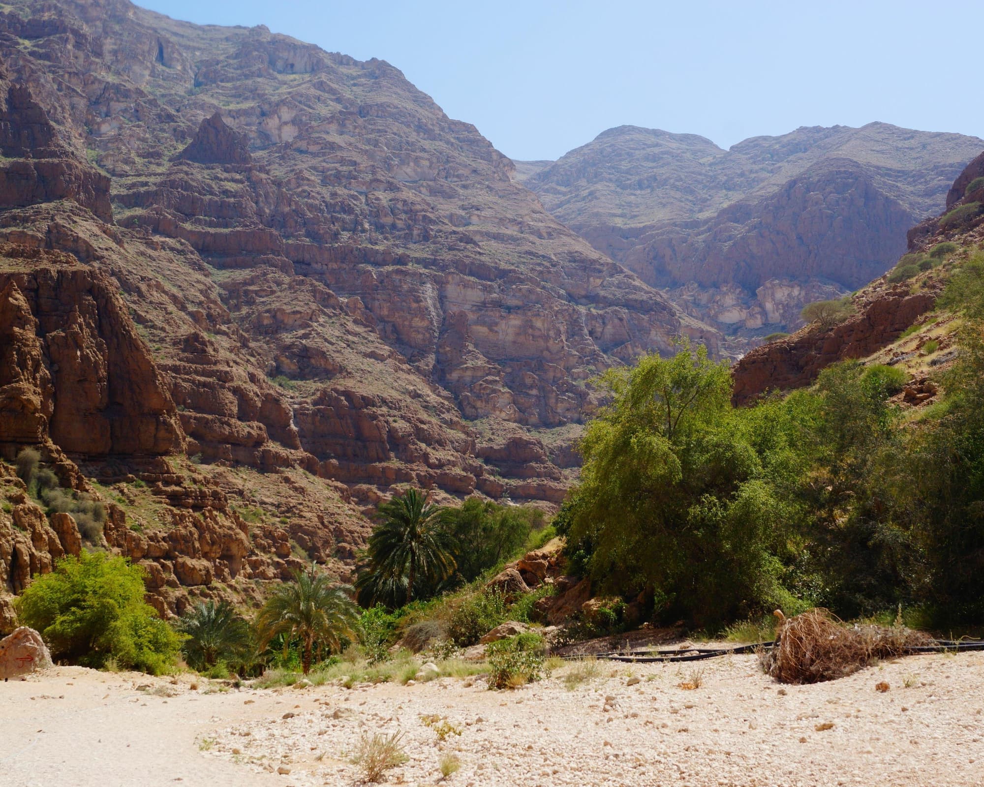 SuitesTour Omán - Mar Arábigo 9 noches