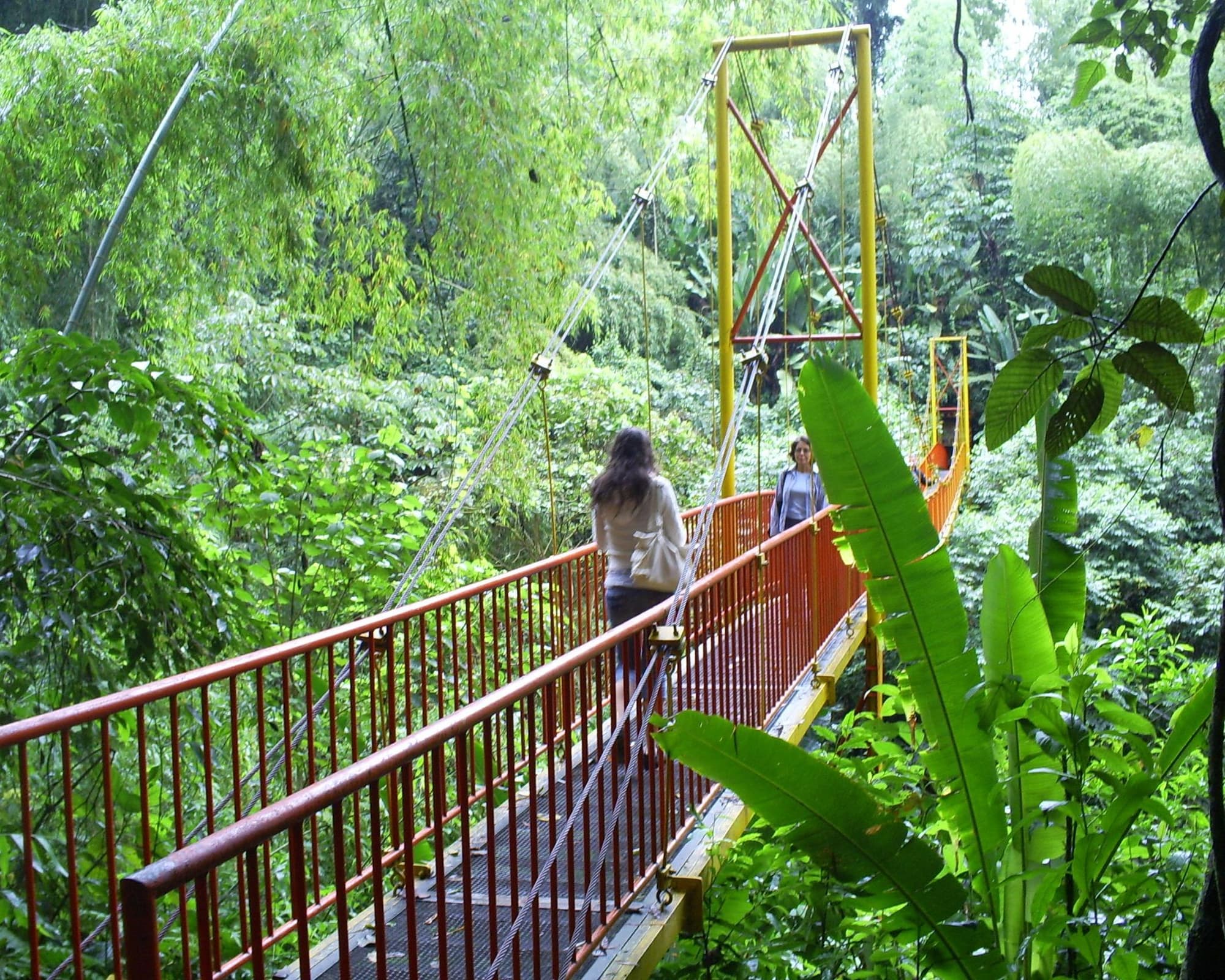 Des Andes aux Caraïbes