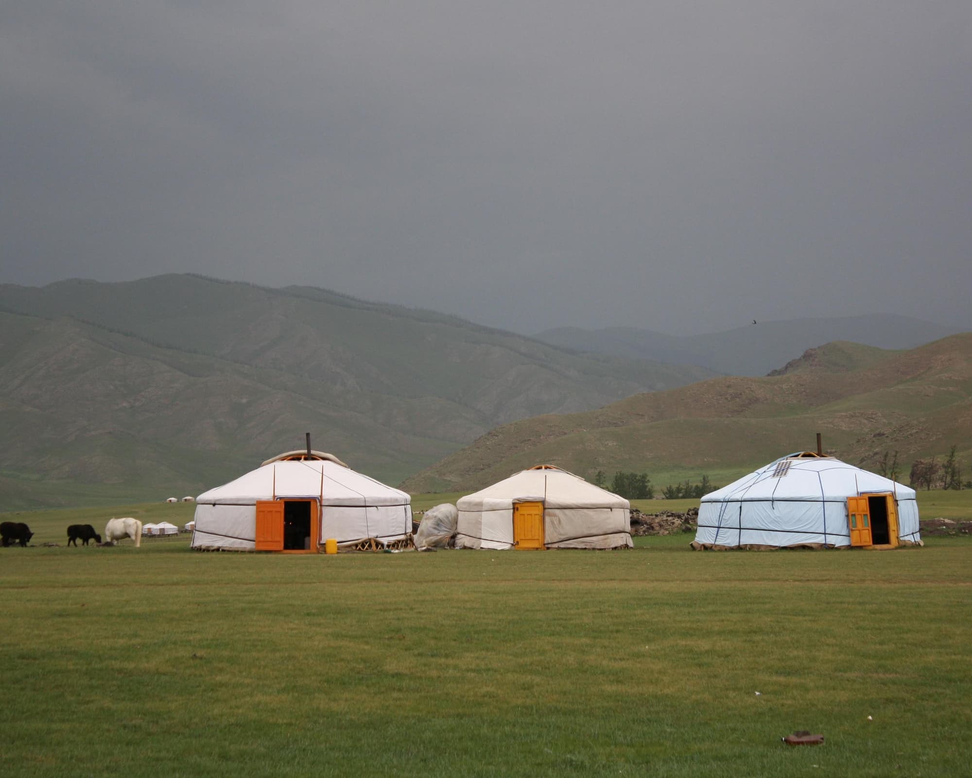 Journeys: Mongolia & The Naadam Festival