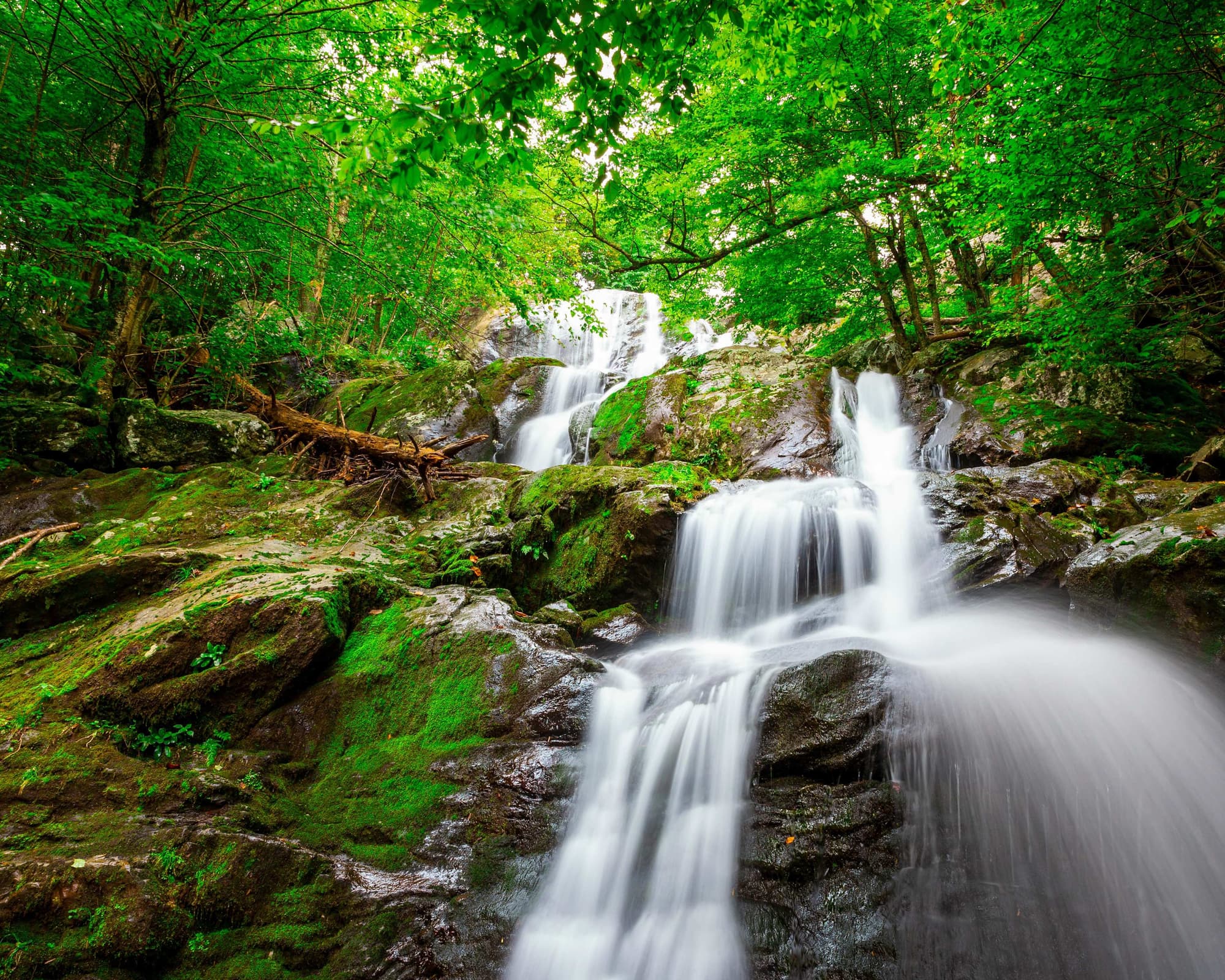 Shenandoah National Park VA, Verenigde Staten