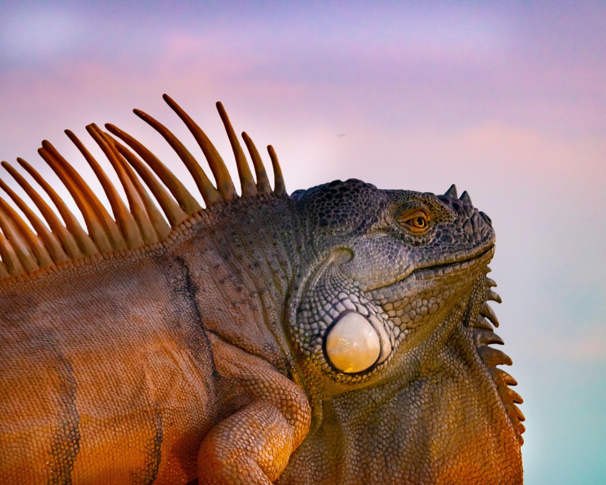 Santa Elena, (Q. Roo), México