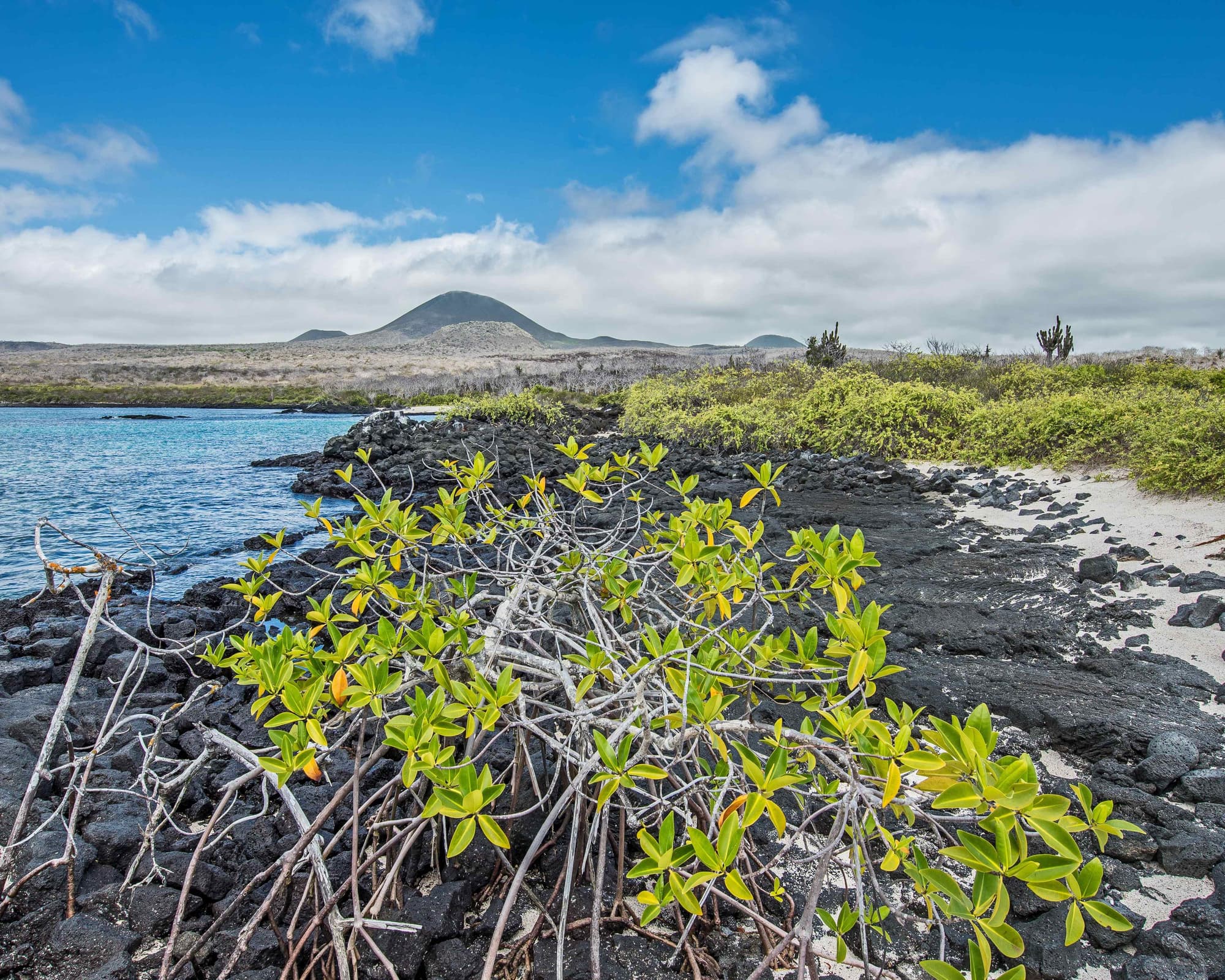Floreanaön, Ecuador