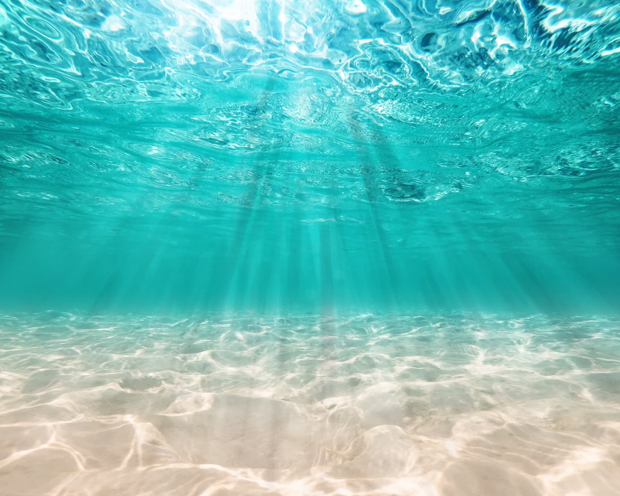 Tokyo (In navigation), Japón