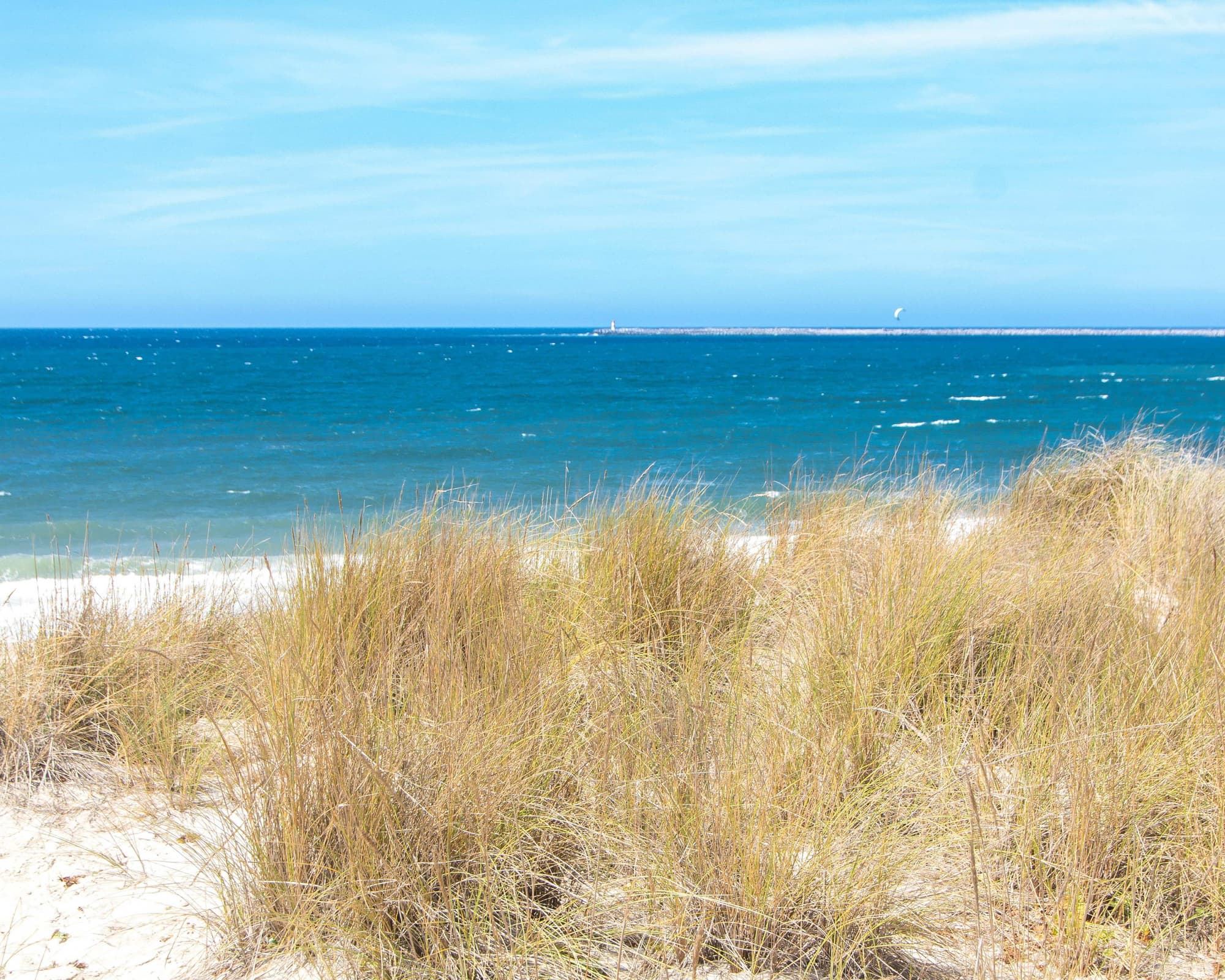 La Magia del Portogallo 2026