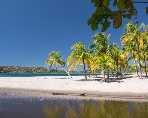 Entre Jungle, Plages et Volcan