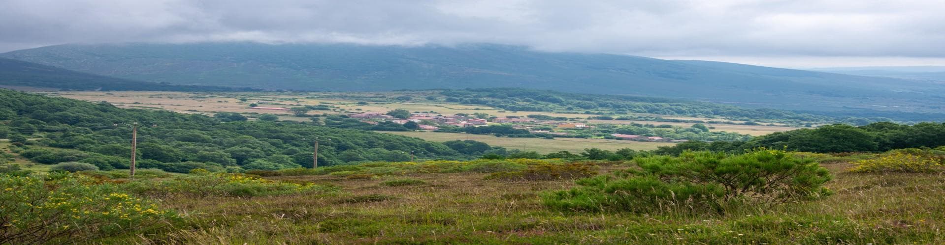 布拉諾塞拉, 西班牙