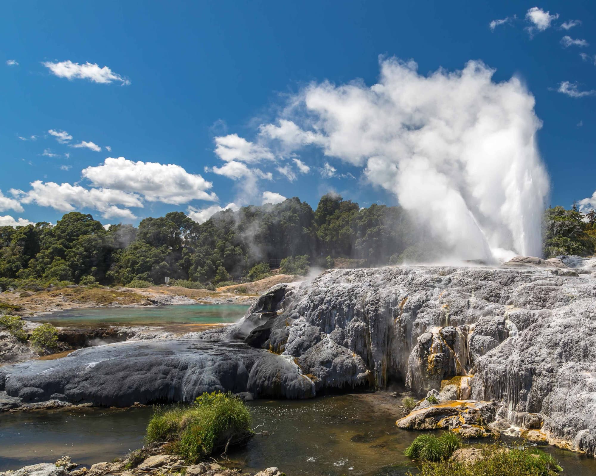 Te Puia, Nueva Zelanda