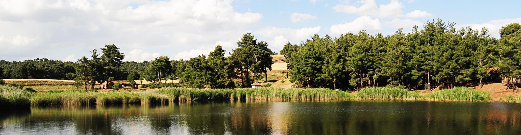 Кано, Нигерия