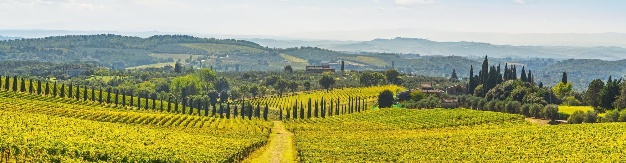 Castelnuovo Berardenga, Italia