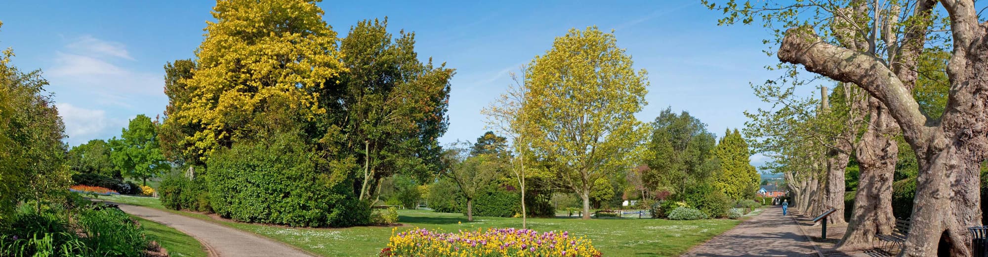 Obispos Lydeard, Reino Unido