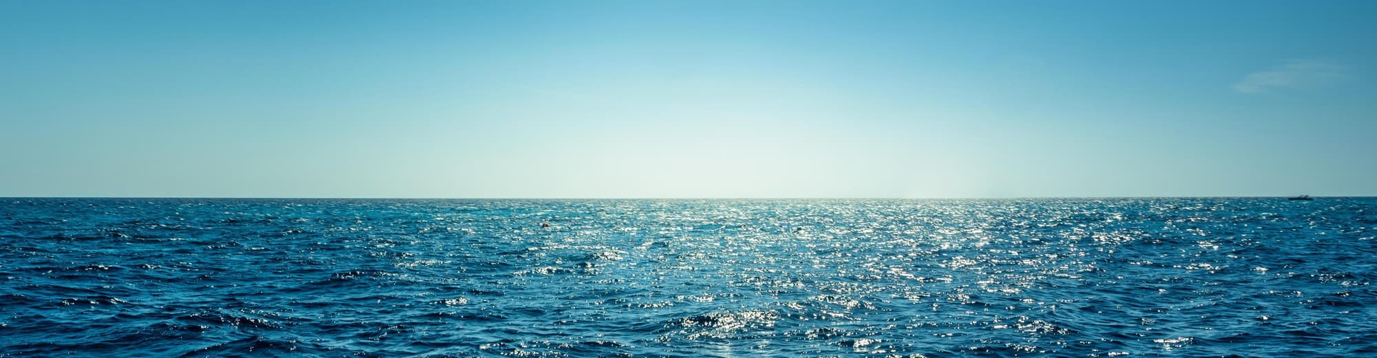 In Navigation (Itajaí), Brasil