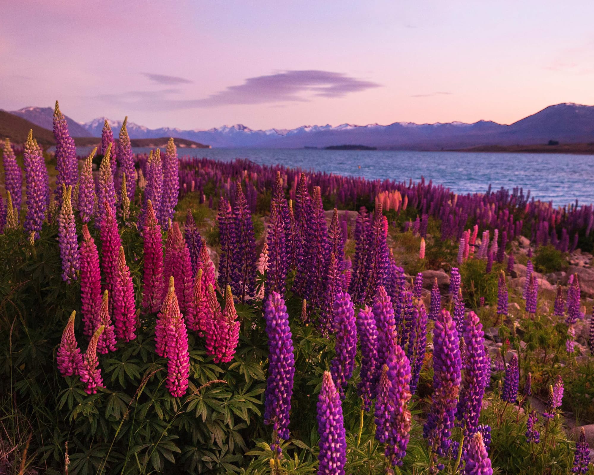 Gran Tour de Nueva Zelanda (Días 4-15)