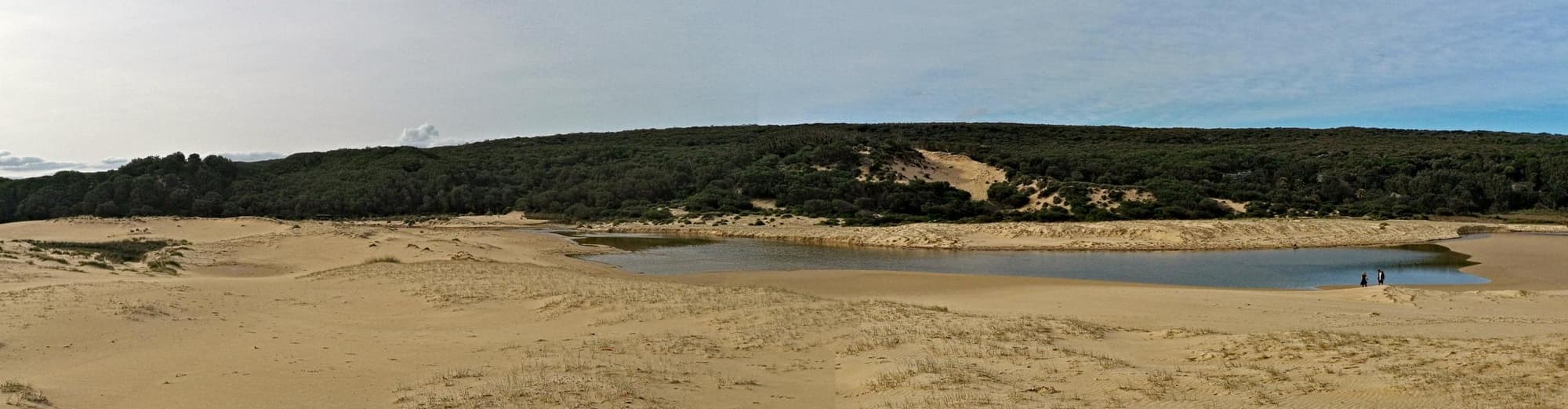 Royal national park, Australien