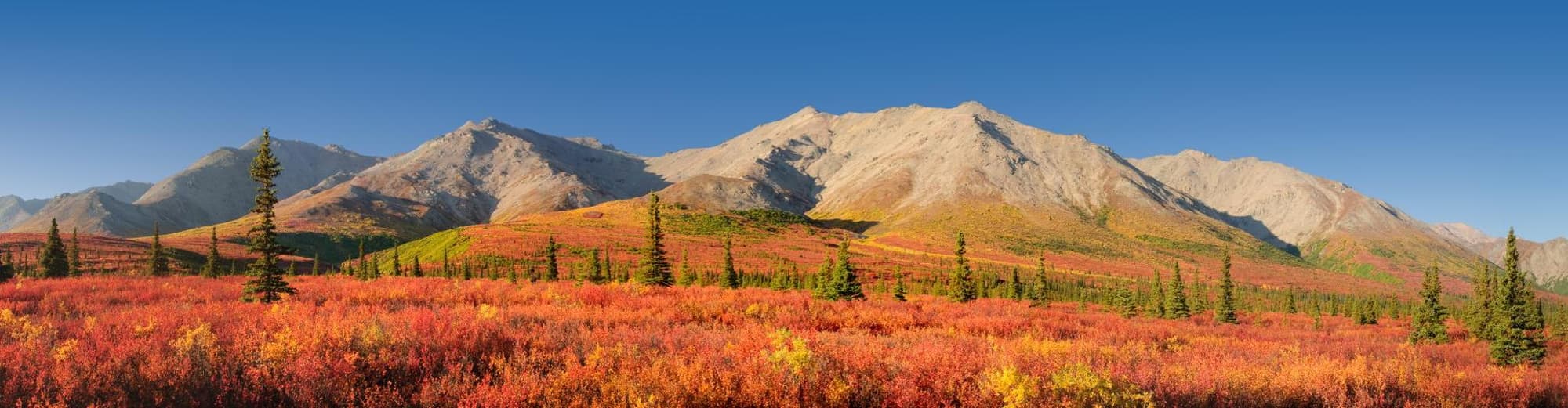 Denali National Park AK, Estados Unidos de América