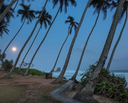 Circuit- Bien- être