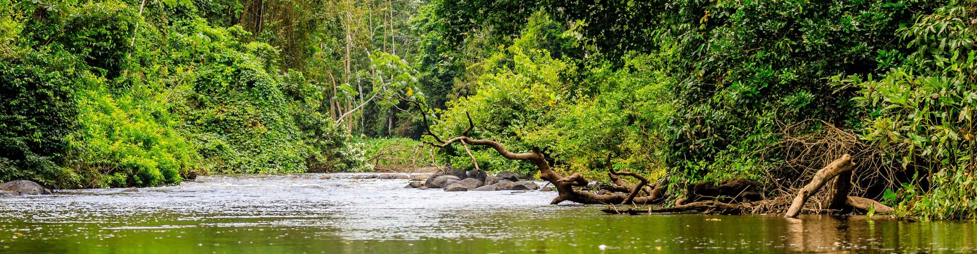 Kajana, スリナム