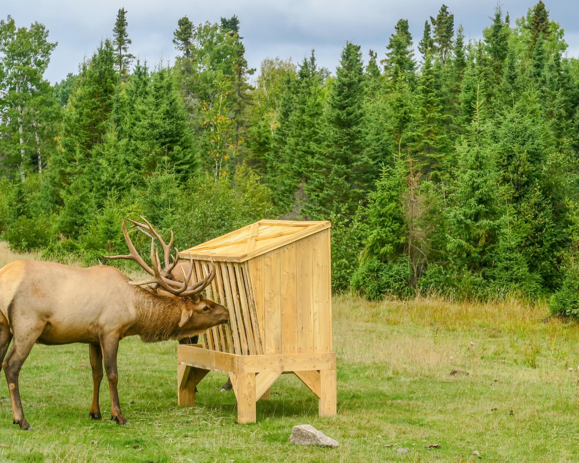 Le Québec version naturel avec location de voiture