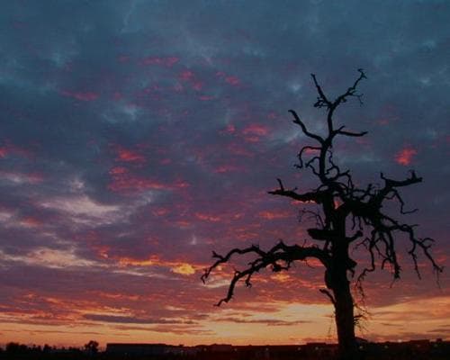 Visalia CA, Stati Uniti d'America