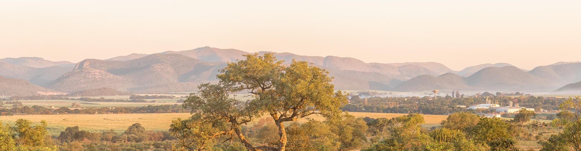 Малалейн, Южна Африка