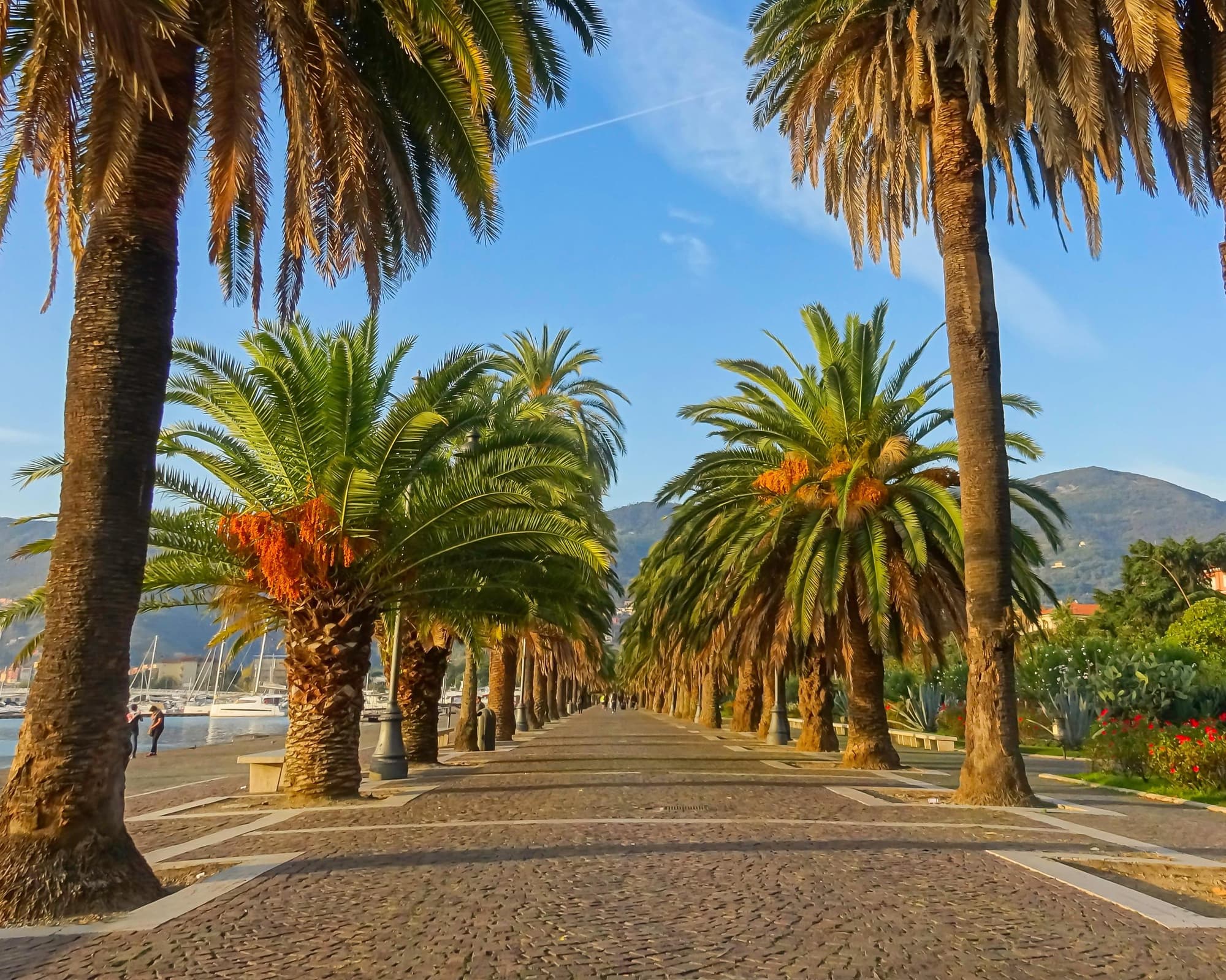 Minitour Cinque Terre 3 Días / 2 Noches