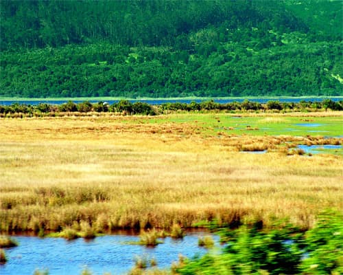 Knysna Spring Tide Charter - Sunset Cruise