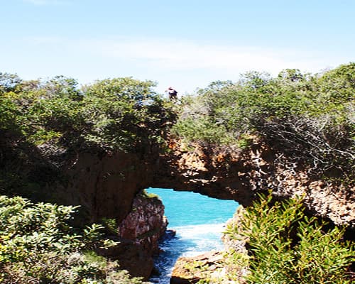 Knysna Spring Tide Charter - Sunset Cruise