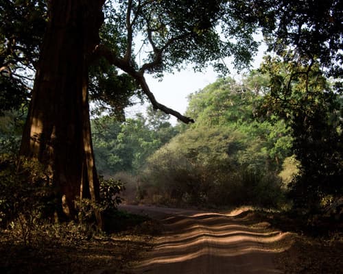 Paisajes de Tanzania - Categoría A