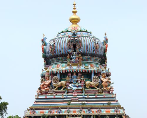 MTPE-30077 DE TAMIL NADU A KERALA: VIAJE AL CORAZÓN DEL SUR