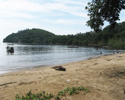 Orang Utan Adventure Tanjung Puting