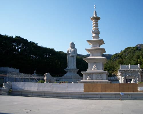 Korea, Beijing, and Shanghai (2026)