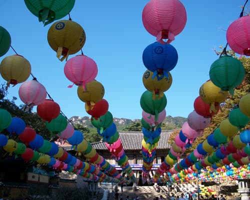 Korea, Beijing, and Shanghai (2026)