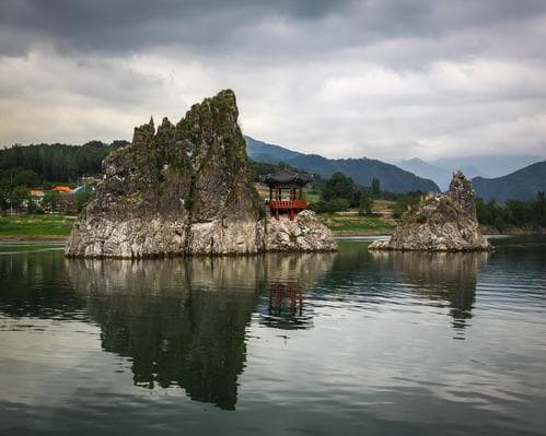 Festival de Flores de Cerezo