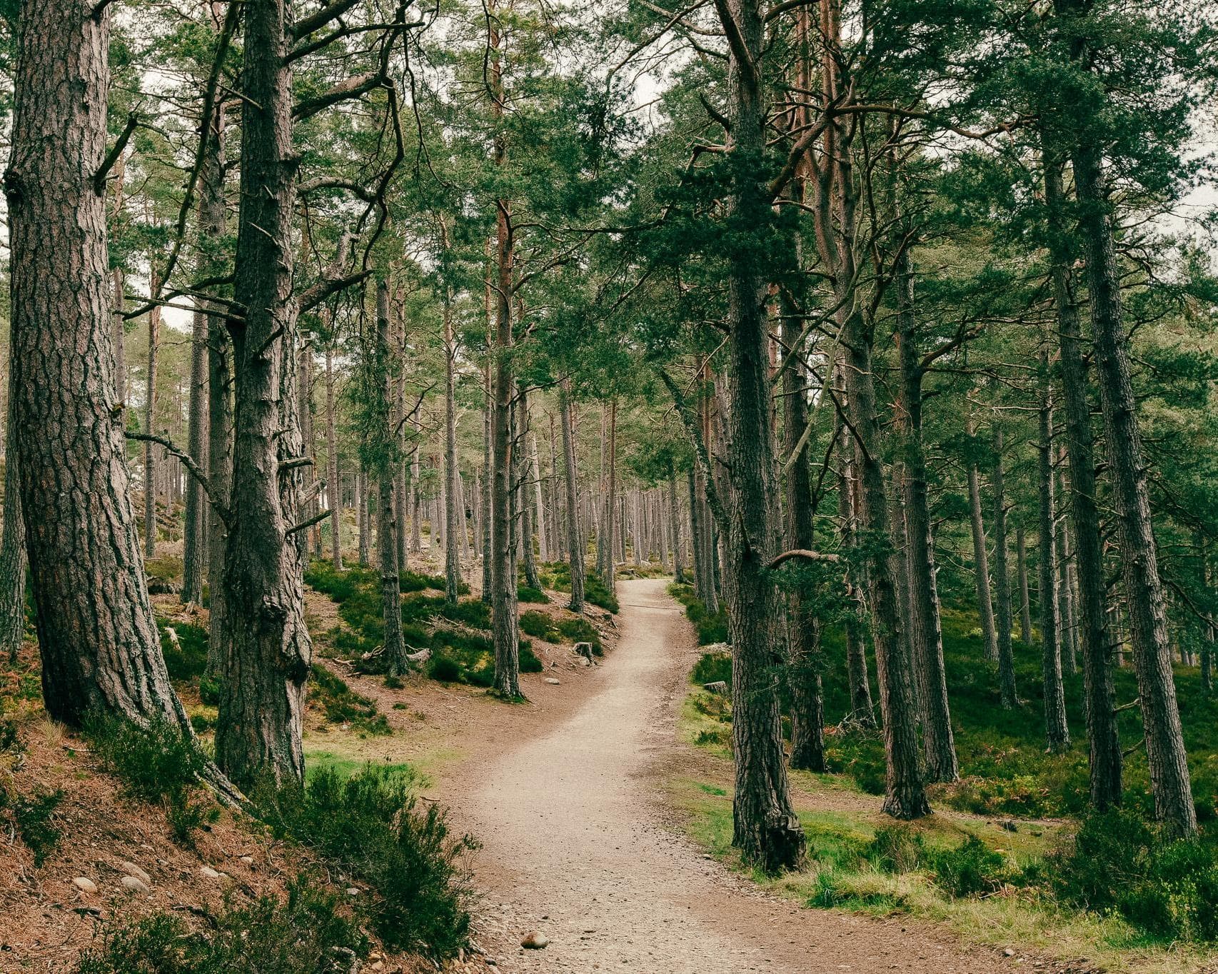 Aviemore, Reino Unido