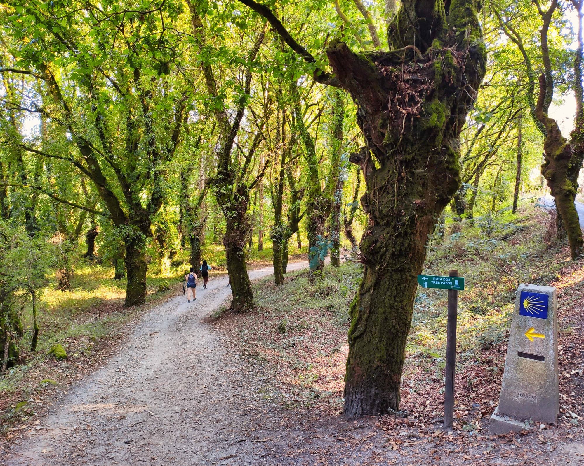 El Camino de Fisterra