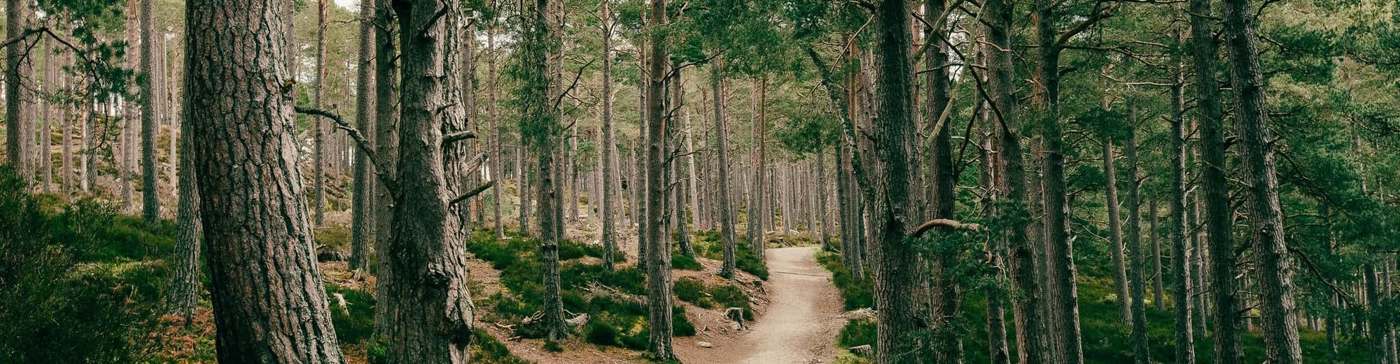 Aviemore, Reino Unido