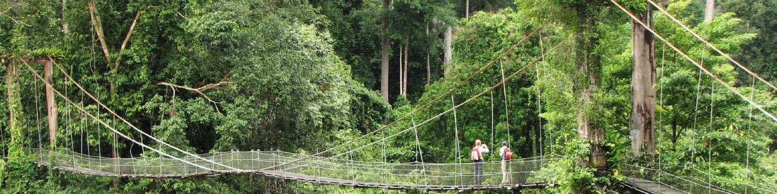 Danum Valley, Malaysia