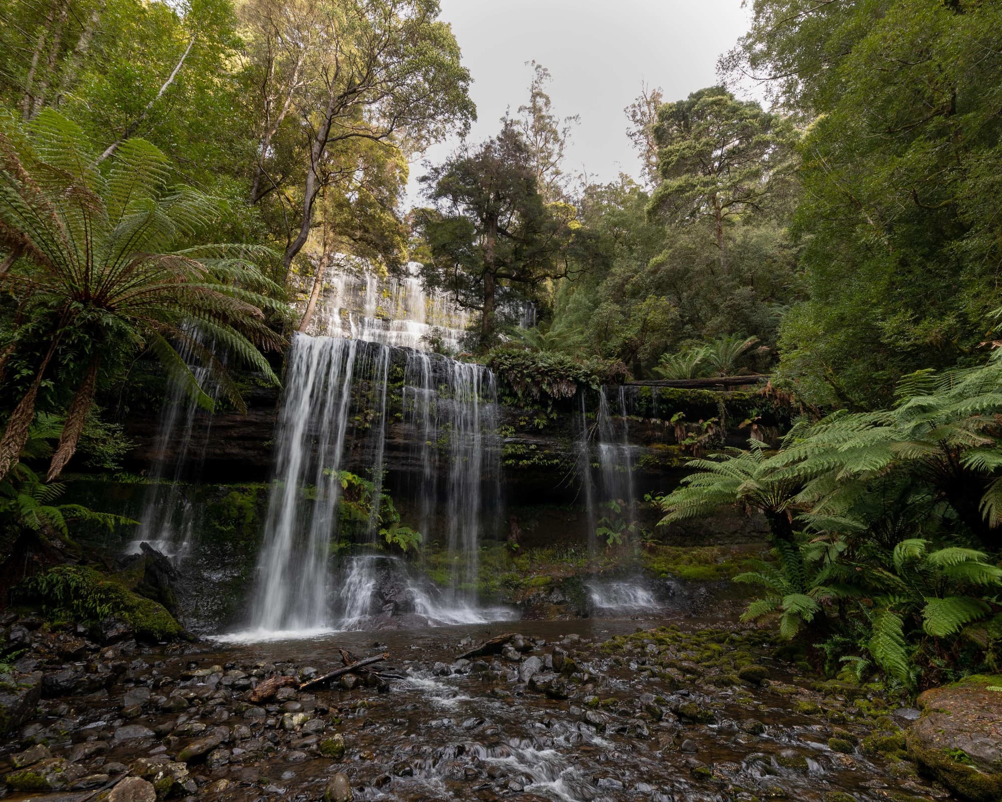 Franklin-Gordon Wild Rivers Nationalpark, Australien