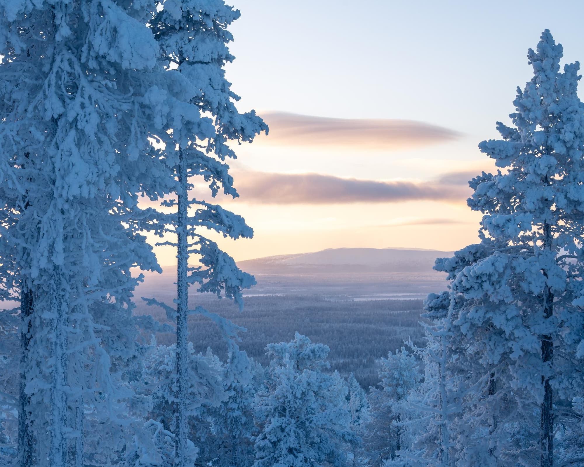 Essentiel De Laponie