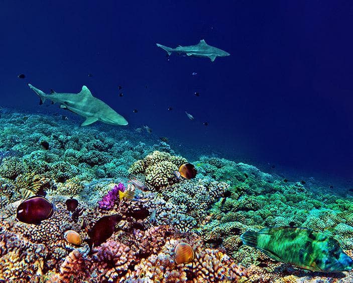 Fakarava, Polinesia Francesa