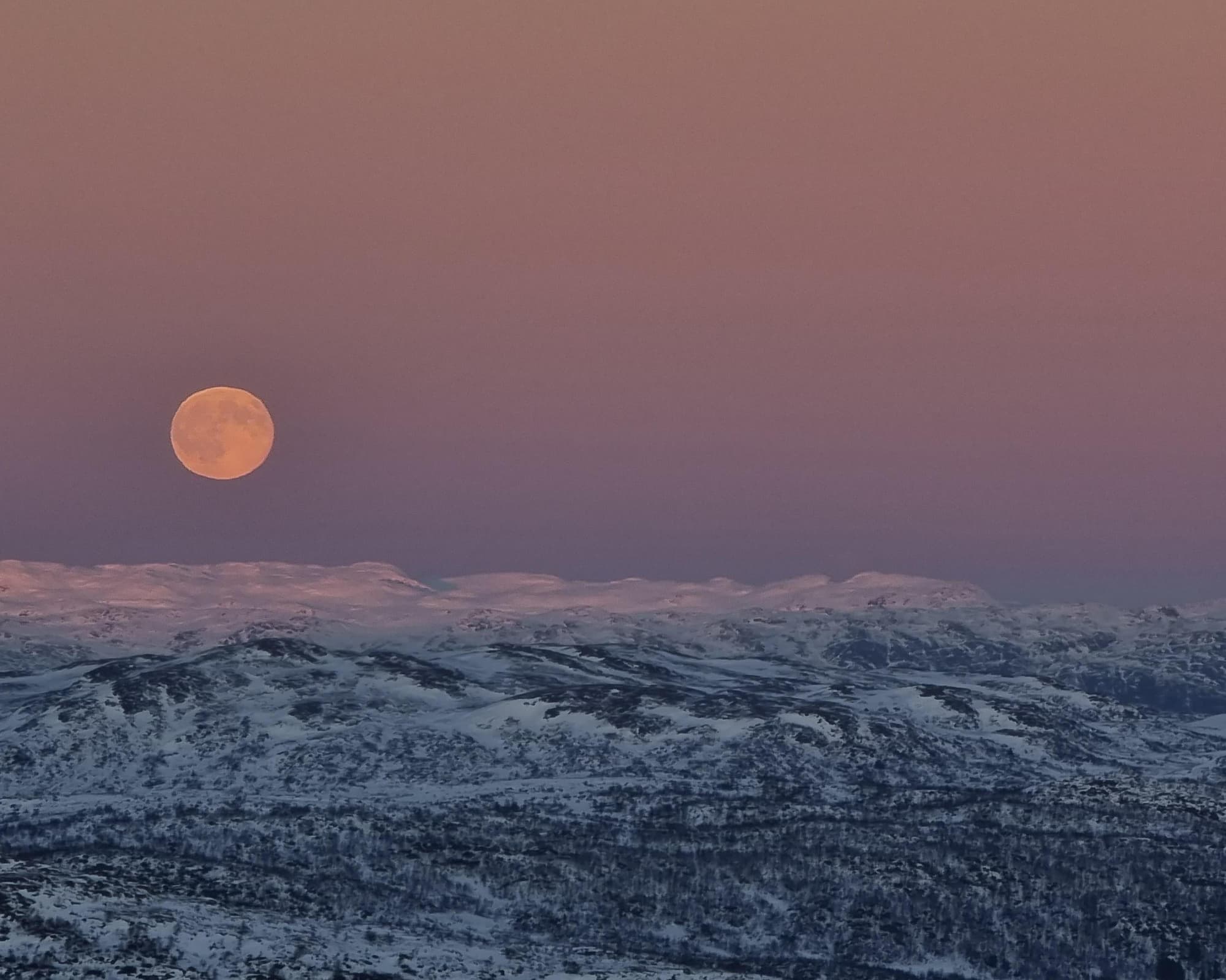 Tierra de Fiordos & Stavanger